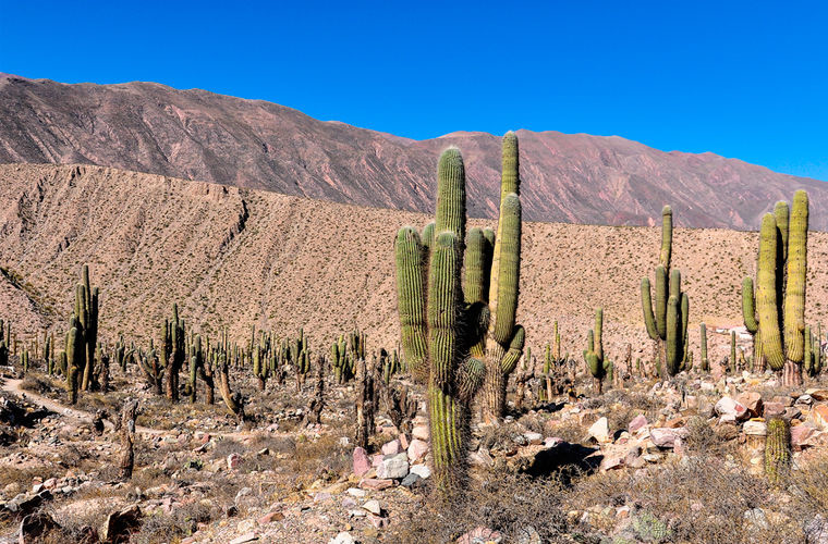 1. Мексика - это пустыни, кактусы и пляжи в мире, люди, мексика, миф