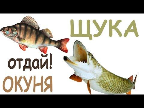 Щука! С@ка!!! И ни хвоста, ни чешуи Щука! С@ка!!! И ни хвоста, ни чешуи