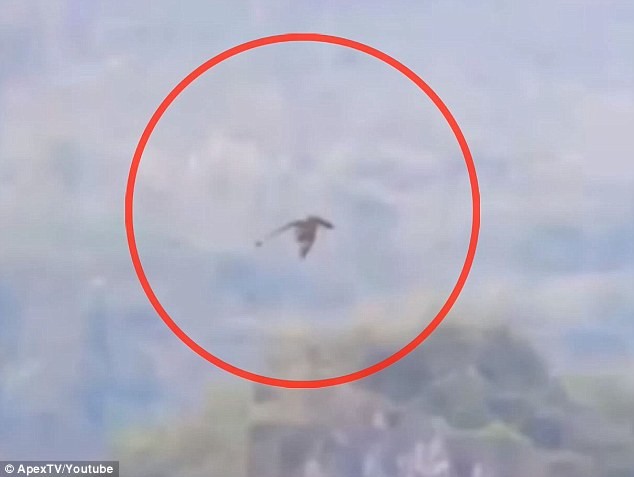 Драконы существуют? В сети появилось видео с мифическим существом, летящим над горами в Китае