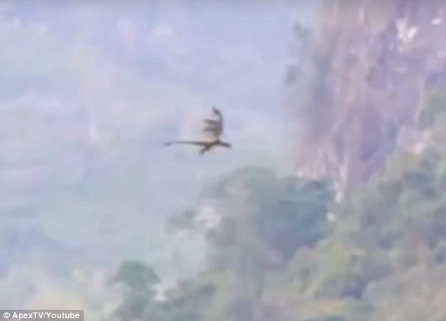 Драконы существуют? В сети появилось видео с мифическим существом, летящим над горами в Китае