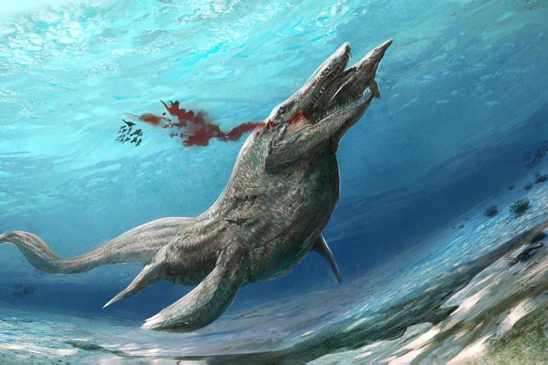 Тилозавры животные, море, ужас
