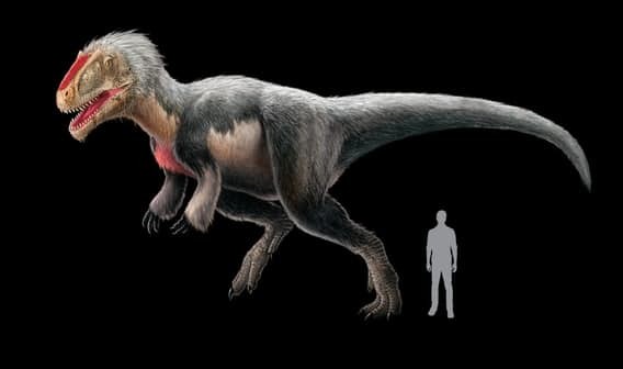 У каких динозавров была шерсть или перья? динозавры, история, наука, правда