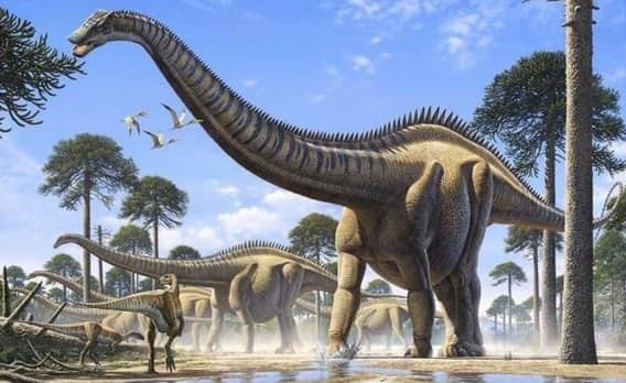 Какой динозавр был самым большим? динозавры, история, наука, правда