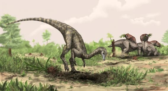 Какой динозавр появился первым? динозавры, история, наука, правда
