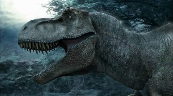 Какие динозавры были ночными животными? динозавры, история, наука, правда