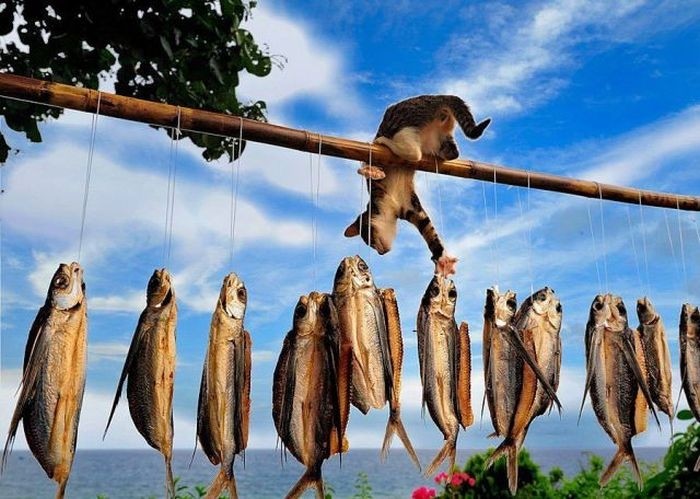 Значение рыбалки для настоящего мужчины!