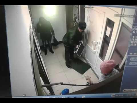 Мужчина отбился от напавшего на него питбуля чемоданом Мужчина отбился от напавшего на него питбуля чемоданом