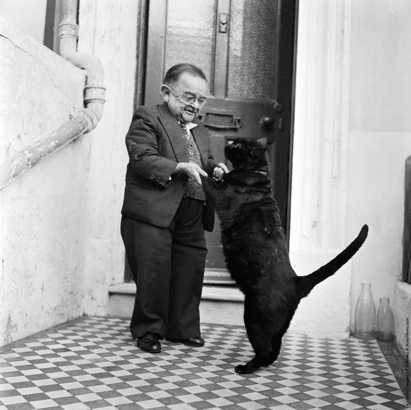 Самый маленький человек 50-х (76 см) Генри Беренс танцует со своим котом. Великобритания. 1956 год история, фото