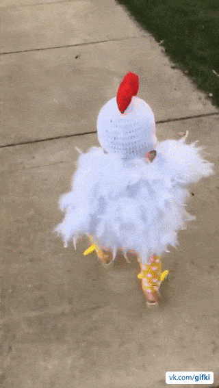 1478832689162481601.gif