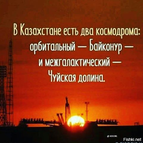 35568f86dcb80ea3fc6029e196490b80.jpg