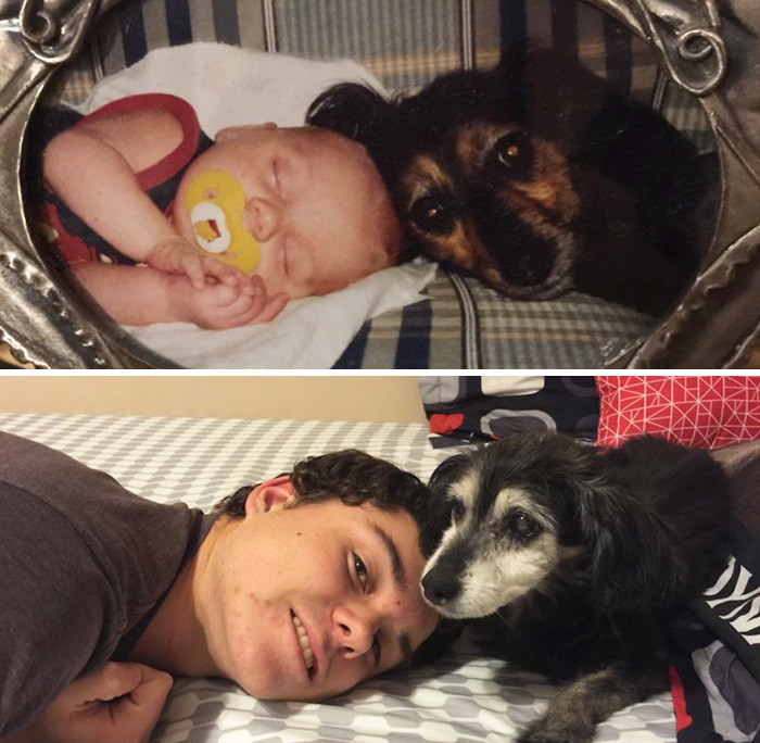 15 лет: лучшие друзья до и после, друзья, собаки, фото