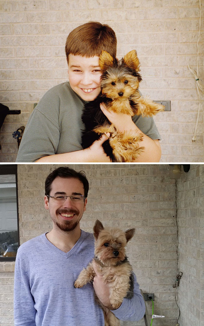 2001 - 2014: лучший друг и товарищ до и после, друзья, собаки, фото