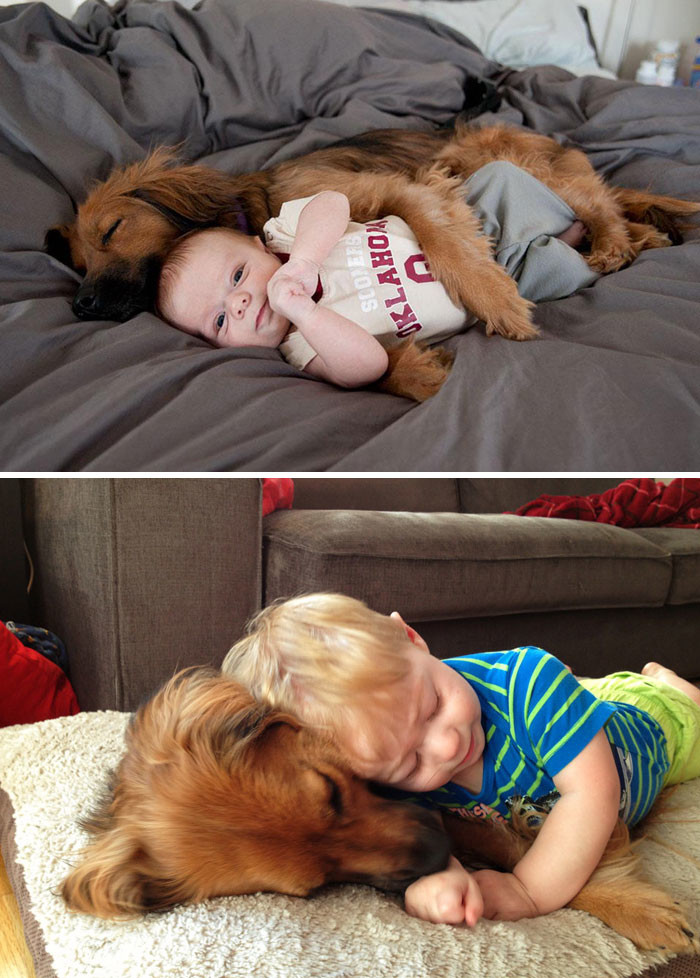Первые 9 месяцев вместе до и после, друзья, собаки, фото