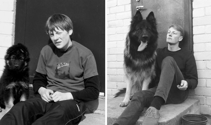 Рекс и Виталиус: 7 лет рядом до и после, друзья, собаки, фото
