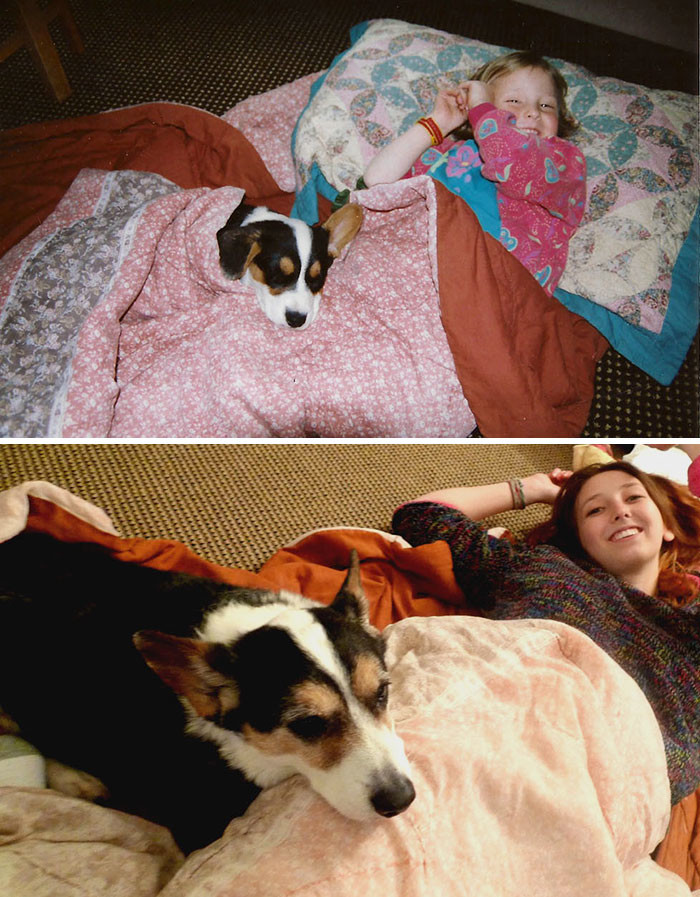 Лучший друг за 15 лет до и после, друзья, собаки, фото