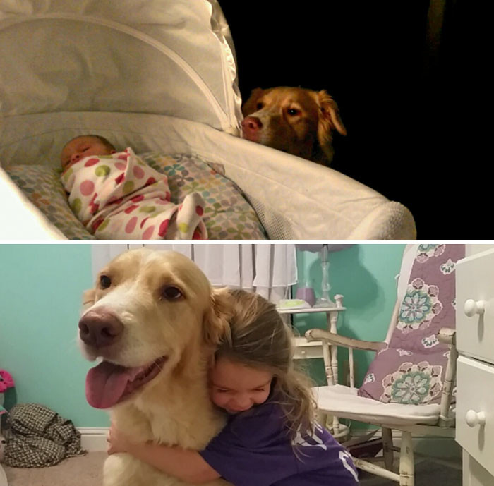 Три года дружбы до и после, друзья, собаки, фото