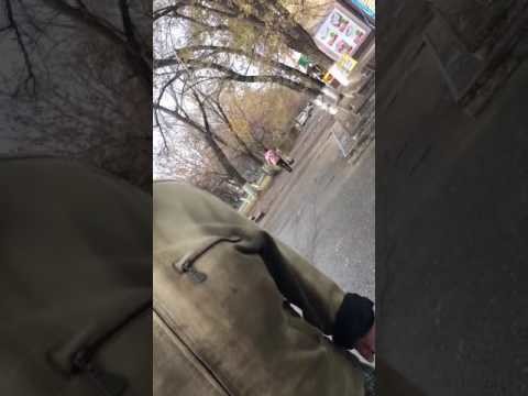 Городская сумасшедшая Ванга (Все женщины боги мира, а миром правят татары) Городская сумасшедшая Ванга (Все женщины боги мира, а миром правят татары)
