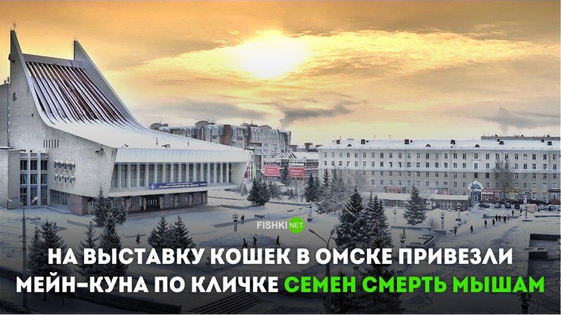 Омск: город, который располагается на границе России и здравого смысла