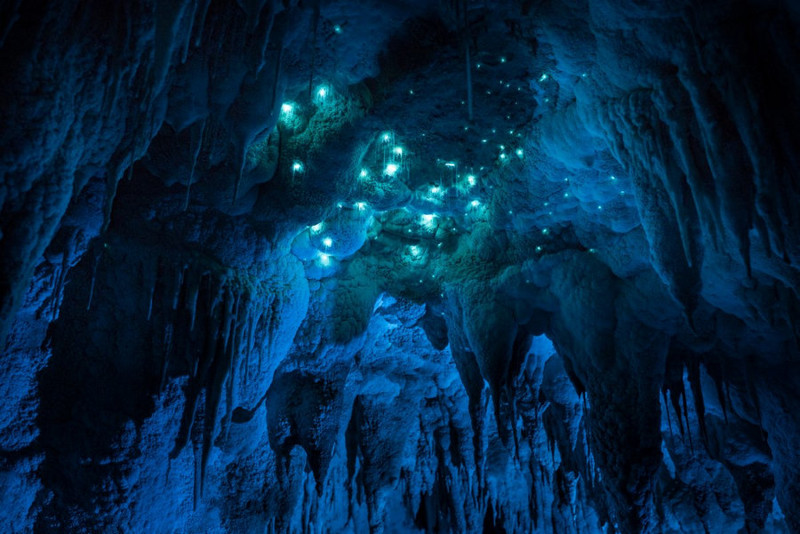 Уникальная пещера в Новой Зеландии, которой 30 миллионов лет пещера, удивительные