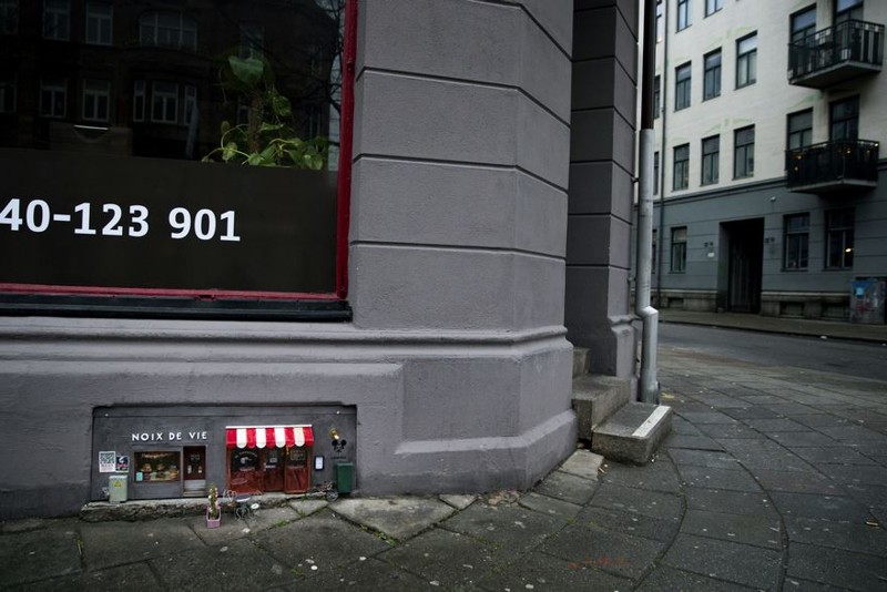 Неизвестные мыши открыли в Швеции собственные магазины магазин, мыши, швеция