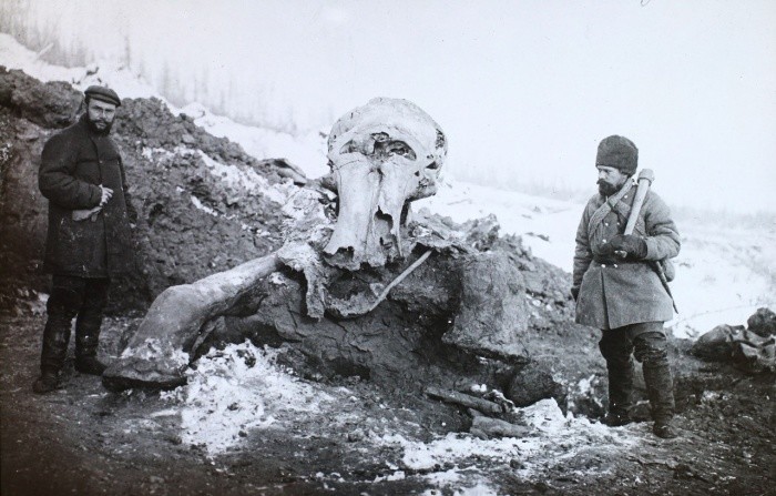 Раскопки Берёзовского мамонта, 1901 год, Средне–Колымск историческое фото, история