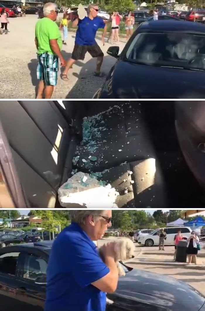 47. Мужчина разбил стекло машины,чтобы спасти собаку, умирающую от жары  доброта, мир, поступок