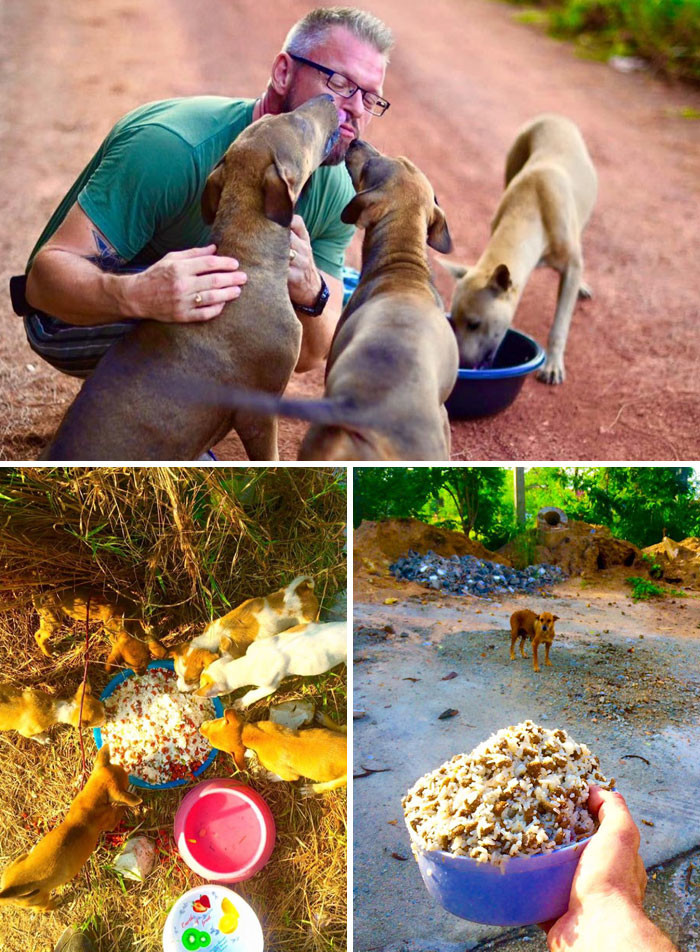 43. Мужчина ежедневно кормит 80 бездомных собак в Таиланде  доброта, мир, поступок