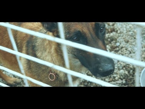 Без слов Без слов