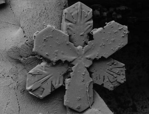 Просто снежинки под микроскопом под микроскопом, снежинки, удивительные фото