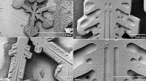 Просто снежинки под микроскопом под микроскопом, снежинки, удивительные фото
