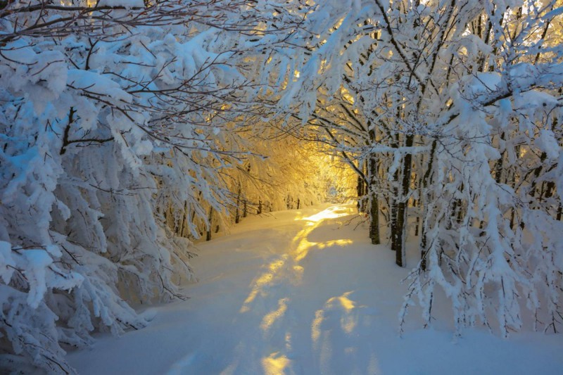 Национальный парк Кампина, Италия зима, природа, снег