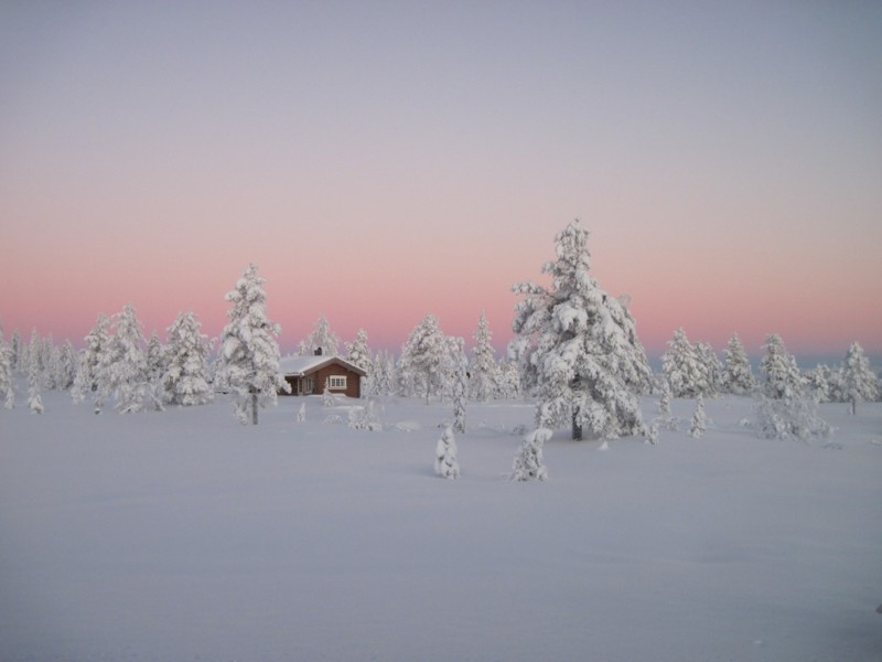 Бореальные леса, Норвегия зима, природа, снег