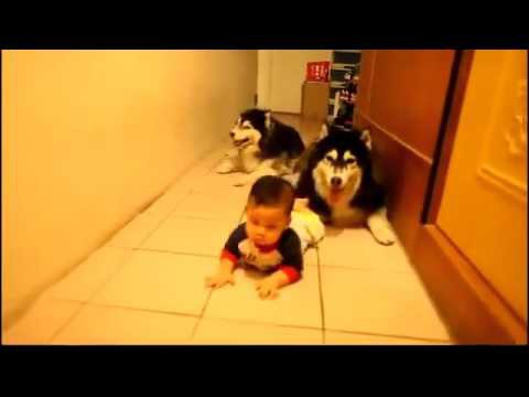Что может быть милее? Что может быть милее?