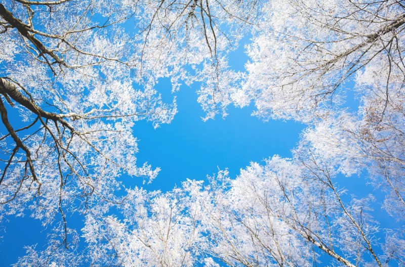 Небо становится ослепительно синим Роcсия, зима, природа