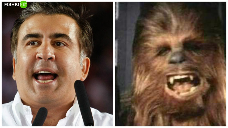 Михаил Саакашвили и Чуи животные, знаменитости, прикол, сходство