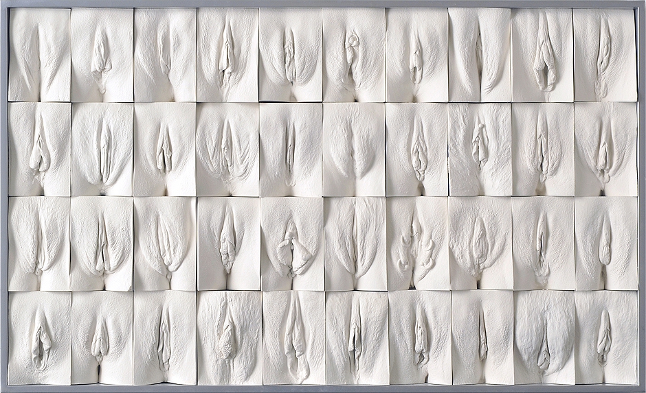 Британский художник создает слепки женских гениталий  искусство, люди, маразм