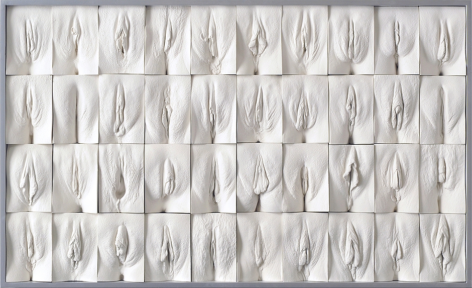 Британский художник создает слепки женских гениталий  искусство, люди, маразм