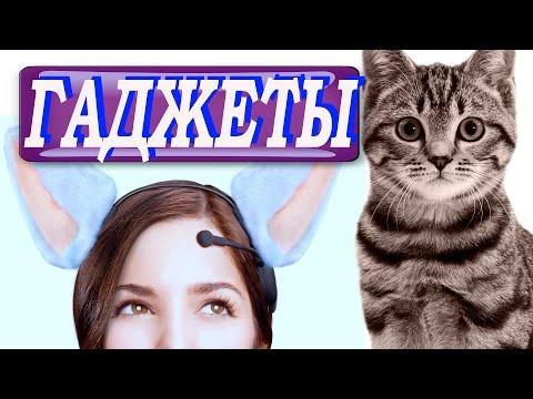 ТОП 12 ТОВАРОВ ДЛЯ КОШЕК НА АЛИЭКСПРЕСС ТОП 12 ТОВАРОВ ДЛЯ КОШЕК НА АЛИЭКСПРЕСС