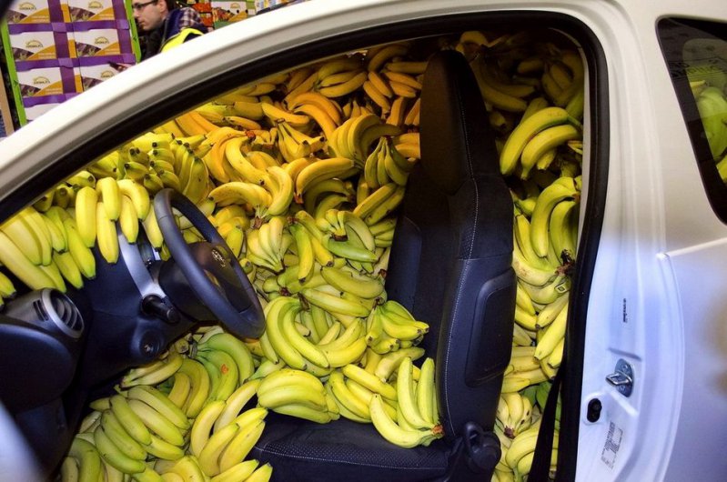 Целая машина бананов  животные, кадр, люди, фото, фотоподборка