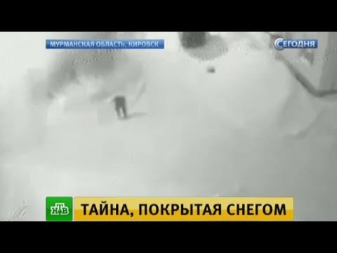 В Кировске камеры наблюдения сняли накрывшую прохожих лавину В Кировске камеры наблюдения сняли накрывшую прохожих лавину