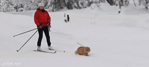 bf71c4b7417673016b2b1049b7e6ead1.gif