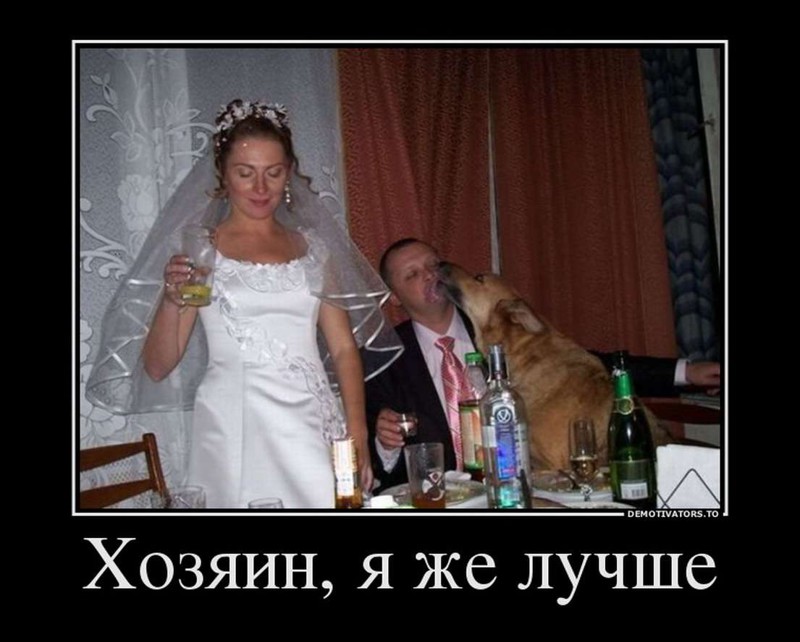 25 Демотивар, приколы, свадьба