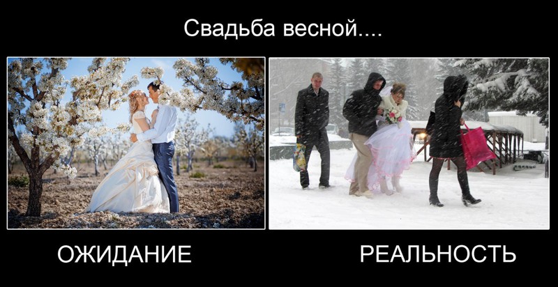 Цитаты про себя на свадьбу Цитаты про себя на свадьбу