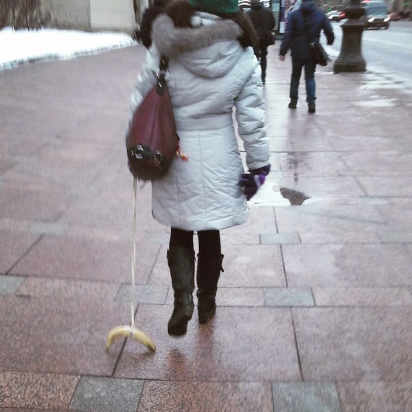 Прогулка с бананом животные, кадр, люди, фото, фотоподборка
