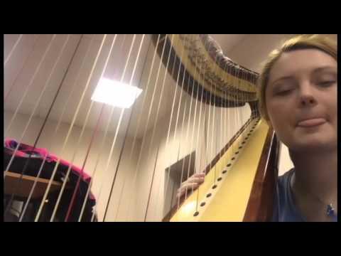 Тайная жизнь оркестра Тайная жизнь оркестра
