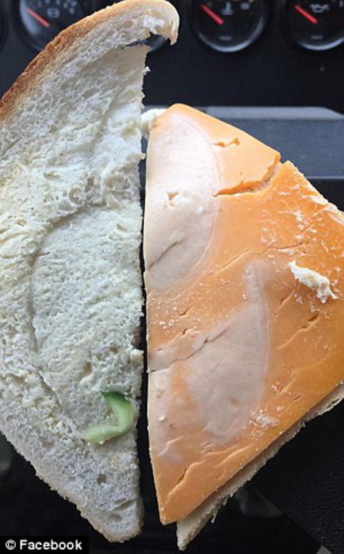 Сэндвич с начинающим плесневеть сыром. армия, в мире, еда
