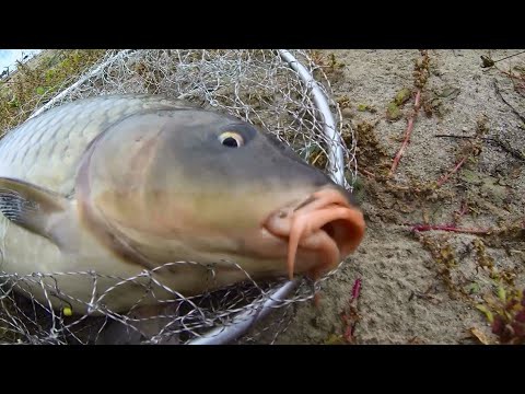 Рекордная рыбалка Рекордная рыбалка
