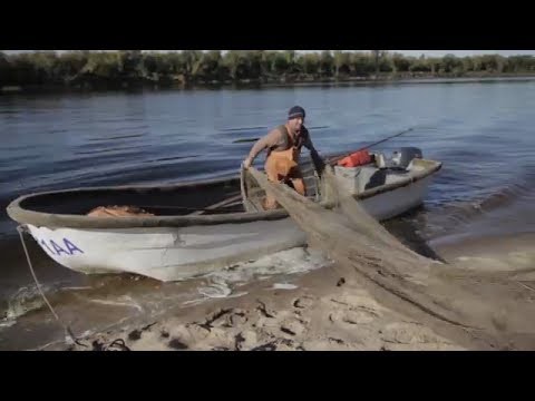 Как поморы ловят сёмгу Как поморы ловят сёмгу