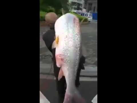 Поймал мужик рыбку Поймал мужик рыбку