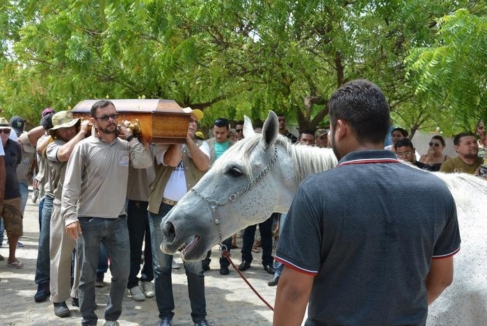 Конь пришел на похороны любимого хозяина, чтобы отдать ему последний долг конь, люди и звери, прощание, трогательно